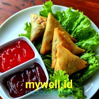 Produk Frozen Food Pilihan Terbaik || Mywell.id