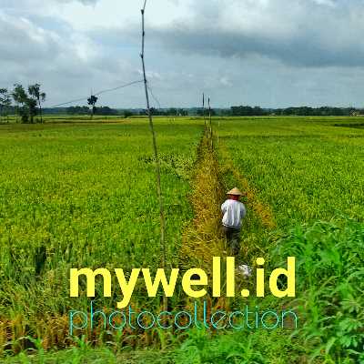 pemasaran bisnis makanan dan minuman itu sangatlah penting, apalagi di jaman sekarang yang lebih banyak orang dibatasi berpergian. Buka warung saja tidaklah cukup walau di pinggir jalan....
https://www.google.com/search?q=mywell+id+Selalu+Rutin+dan+Rajin+Buat+Program+Promosi